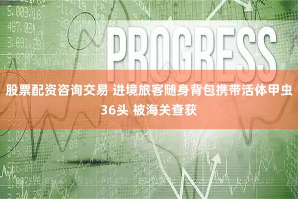 股票配资咨询交易 进境旅客随身背包携带活体甲虫36头 被海关查获