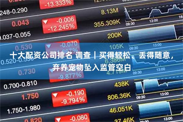 十大配资公司排名 调查|买得轻松、丢得随意,弃养宠物坠入监管空白